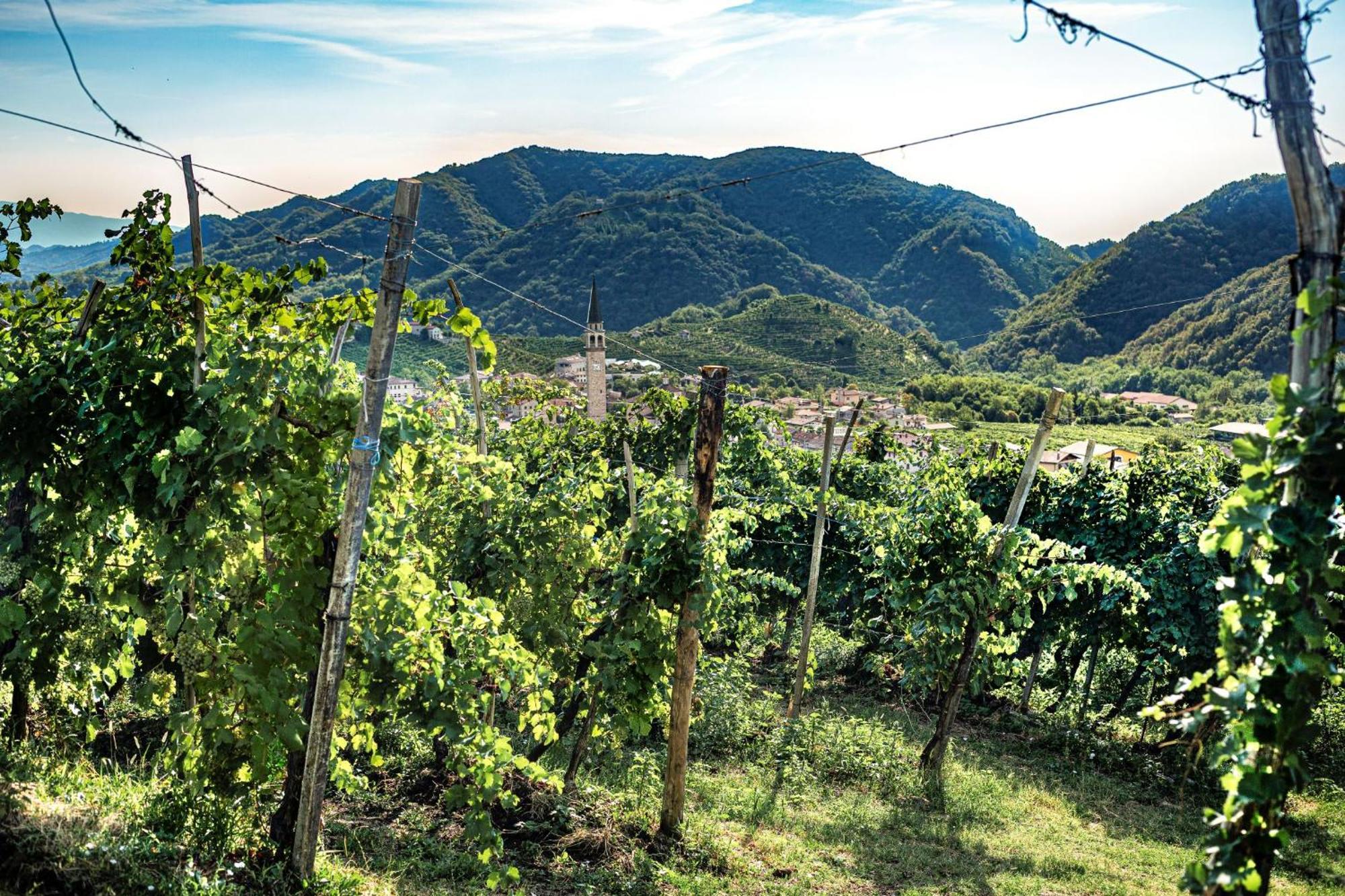 Vila Ca'Lisel Valdobbiadene Exteriér fotografie